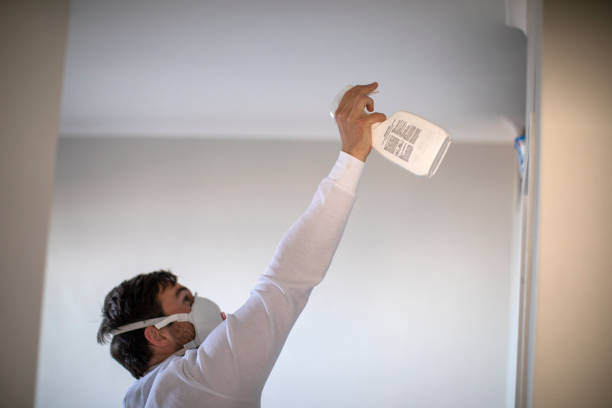 Best Mold Damage Repair  in Roseland, FL