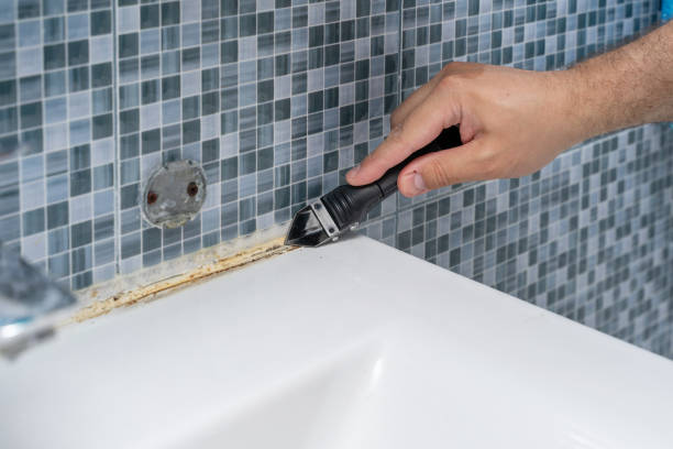 Best Fast Mold Removal  in Roseland, FL